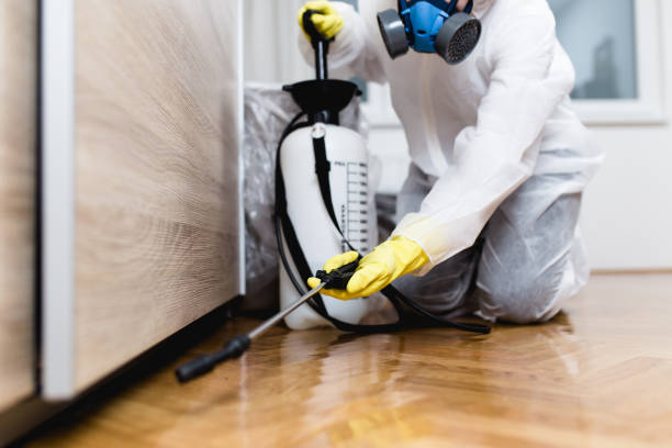 Flea Control Services in Marble Hill, MO
