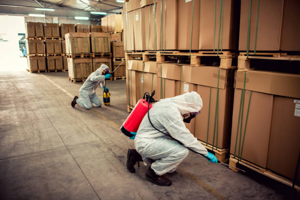 Best Ant Control Services  in Marble Hill, MO