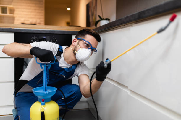 Best Pest Control Near Me in Marble Hill, MO