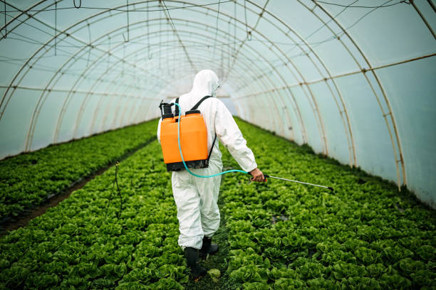 Best Mosquito Control Services  in Marble Hill, MO