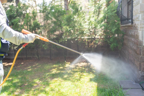 Best Best Pest Control Companies  in Marble Hill, MO