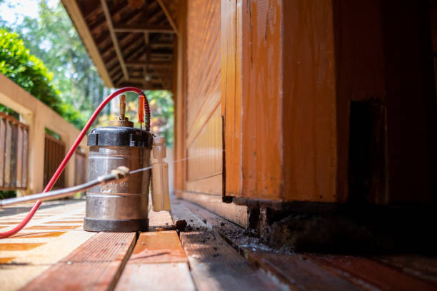 Best Pest Control for Restaurants  in Marble Hill, MO