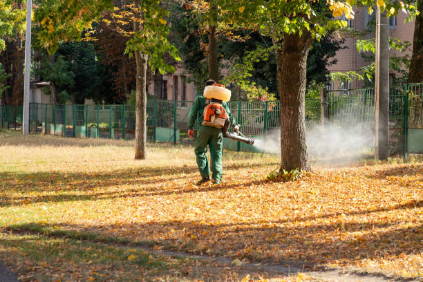 Best Affordable Pest Control Services  in Marble Hill, MO