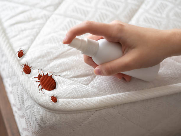 Marble Hill, MO Pest Control Company