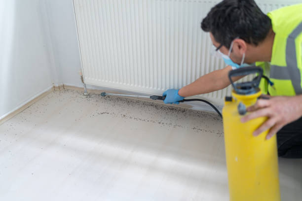 Best Commercial Pest Control Services  in Marble Hill, MO