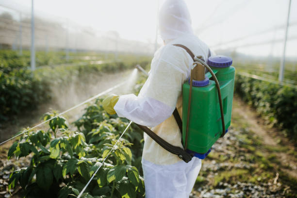 Pest Prevention Services in Marble Hill, MO